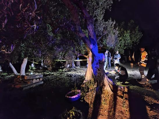 Kendisinden haber alamadığı oğlunu bağ evinde baltayla öldürülmüş halde buldu