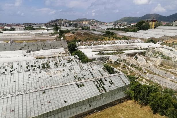 Antalya'da dolu ve hortumun vurduğu tarım alanlarında yaralar sarılmaya çalışılıyor