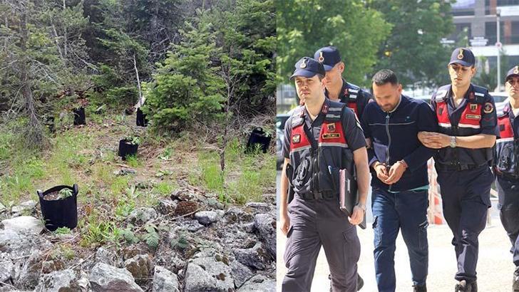 Ormanda saksılarda yetiştirdiği kenevirleri sulamaya giderken yakalandı