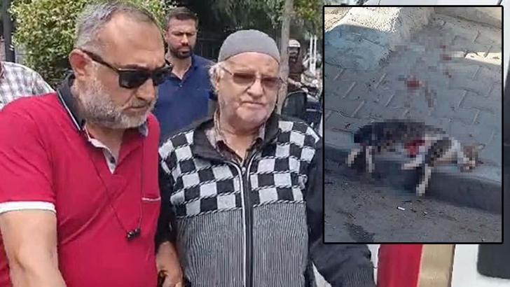 Savcılık itiraz etti; sokak kedisini pompalı tüfekle öldüren şüpheli tutuklandı