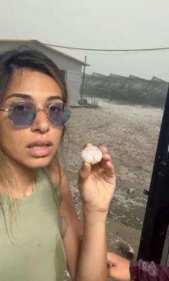 Antalya'da dolu ve hortumun vurduğu tarım alanlarında yaralar sarılmaya çalışılıyor (2)