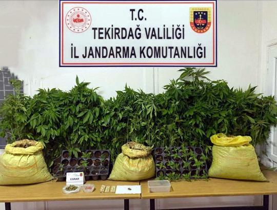 Tekirdağ'da uyuşturucu operasyonlarında 7 gözaltı