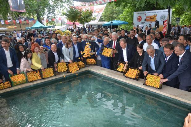Mut Karacaoğlan ve Kayısı Festivali başladı