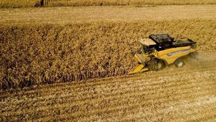 Çiftçilere 251 milyon TL destek ödemesi bugün yapılacak