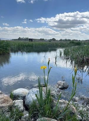 Eber Gölü ve çevresi 'ava kapalı bölge' oldu