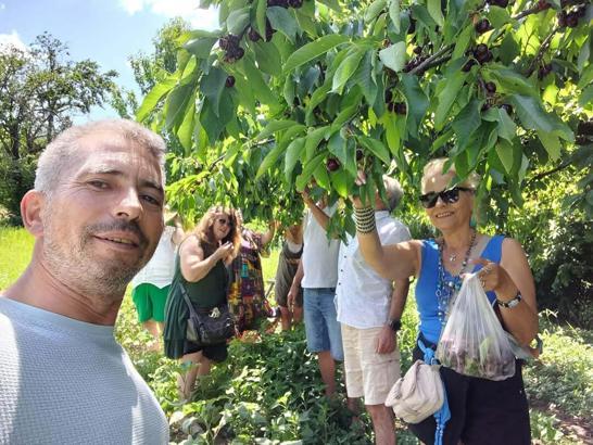 Turistlere meyve ikram edip, bölgeyi tanıtıyor