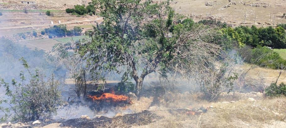 Mardin'de bahçe yangını; meyve ağaçları zarar gördü