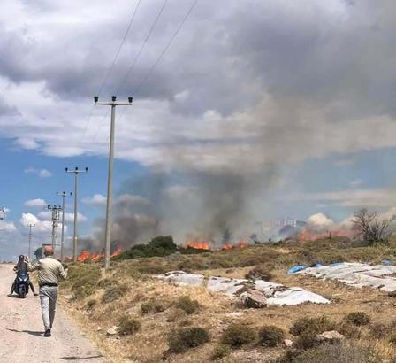 Çanakkale'de otluk yangını