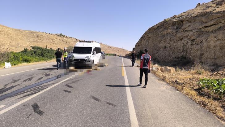 Minibüs, sürüye daldı; 13 küçükbaş öldü