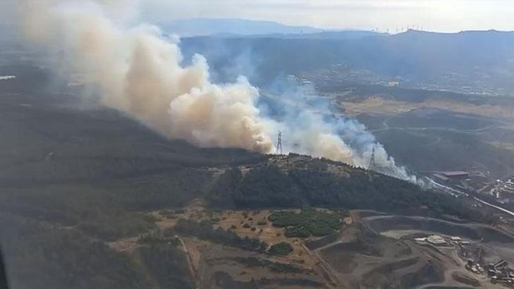 İzmir'de çıkan orman yangını söndürüldü