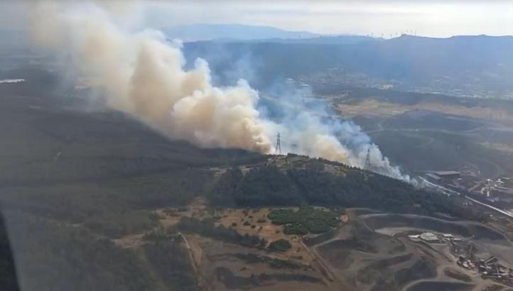 İzmir'de orman yangını