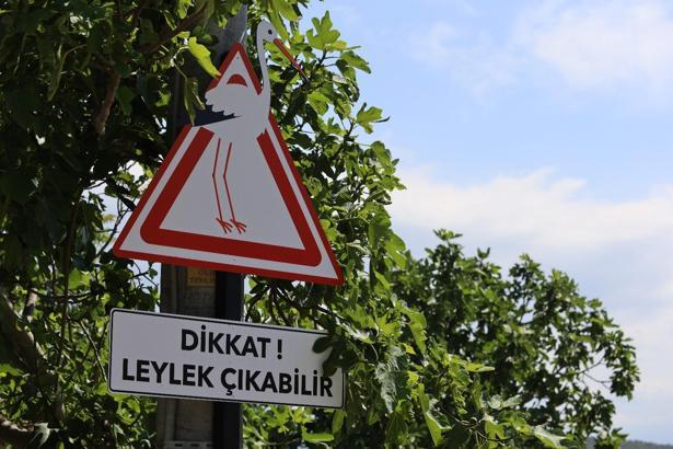 ‘Bursa Leylek Şenliği’ başladı