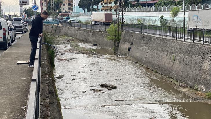 Rize’de derede balık ölümlerine inceleme