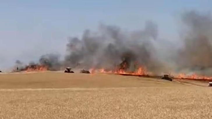 Diyarbakır'da 120 dönüm ekili buğday yandı