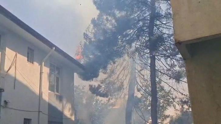 Araştırma merkezinin bahçesinde çıkan yangın, yan binanın çatısına sıçradı