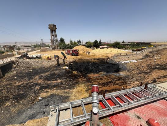 Mardin'de 4 farklı noktada anız ve ekili alan yangını