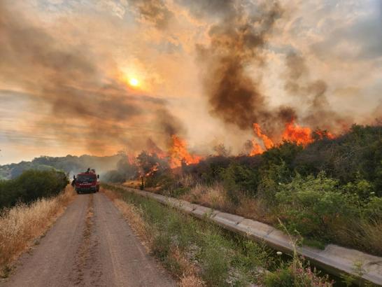 Çanakkale'deki otluk yangını 1 saatte söndürüldü