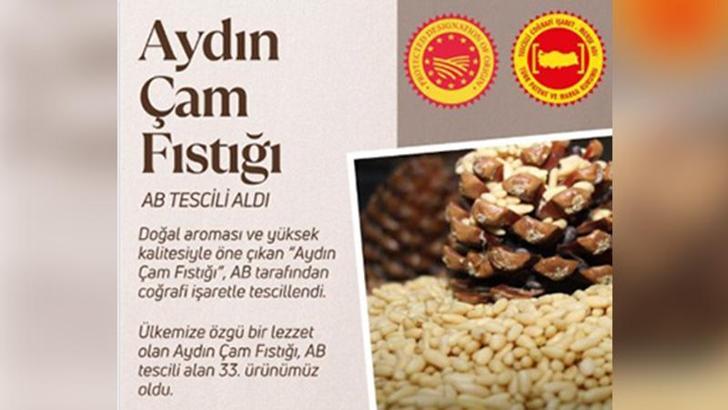 Aydın çam fıstığına AB'den coğrafi işaret tescili