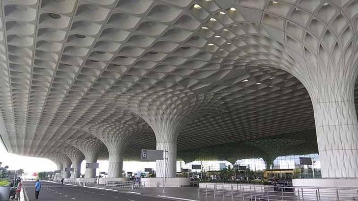 Yolcunun valizinden 48 zehirli yılan ve 5 kaplumbağa çıktı