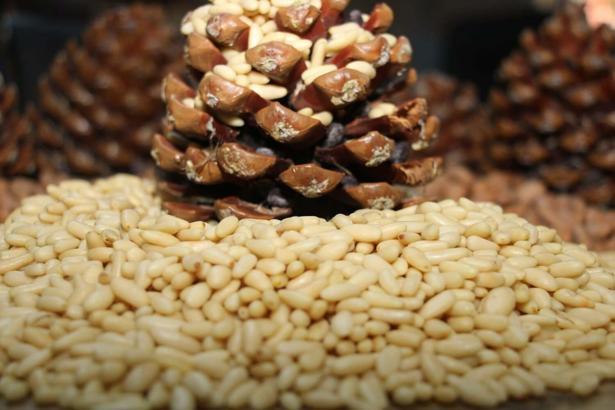 Aydın çam fıstığına AB tescili