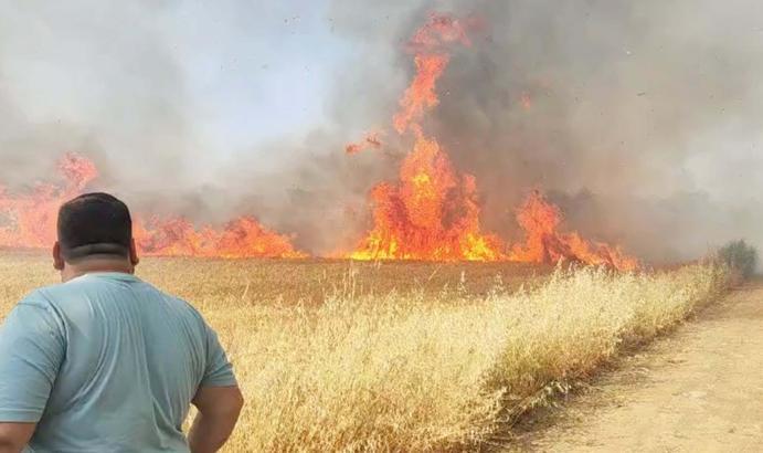 Manisa'da buğday tarlasında yangın