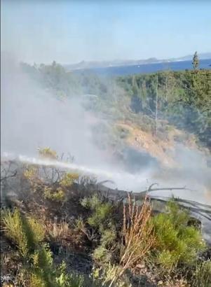 Aydın ve Muğla'daki orman yangınları söndürüldü