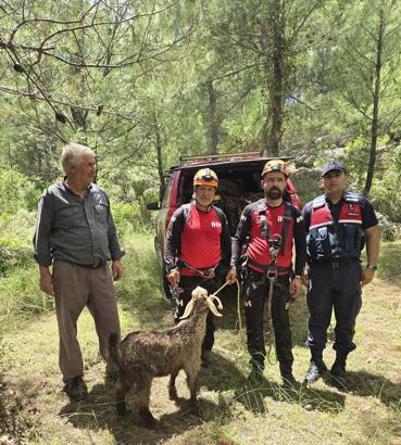 Mağarada mahsur kalan keçi kurtarıldı