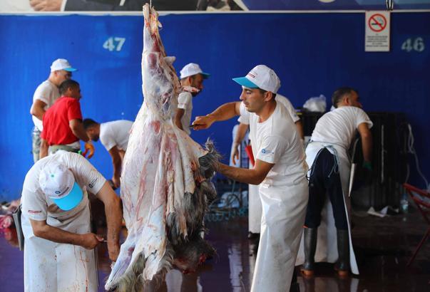 Büyükşehir Belediyesi Kurban Bayramına hazır