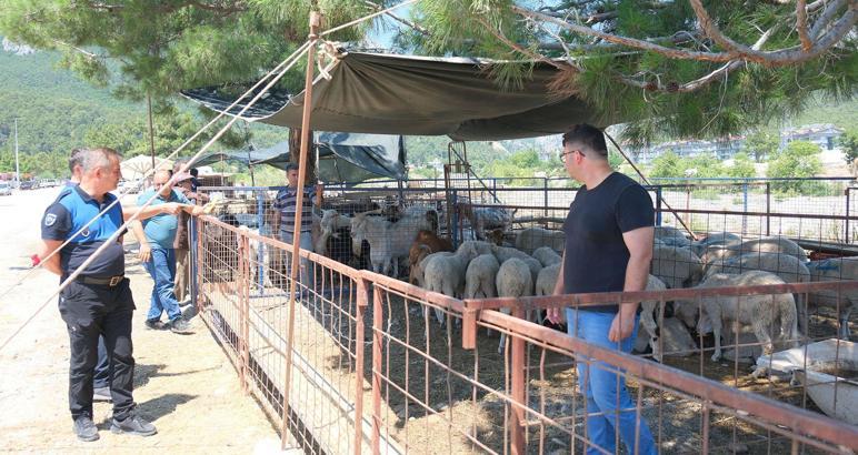 Kurban satış alanlarında denetim