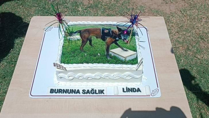 Sağlık sorunları nedeniyle emekli edilen 'Linda' için pasta kesildi