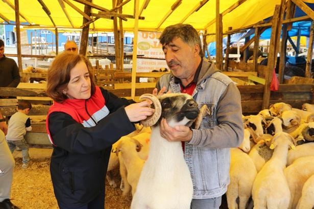 İl Tarım Müdürü Sağlam: Küpesiz hayvan satışına izin yok