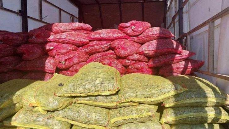 Sakarya'da 3 milyon TL değerinde kaçak midye ele geçirildi