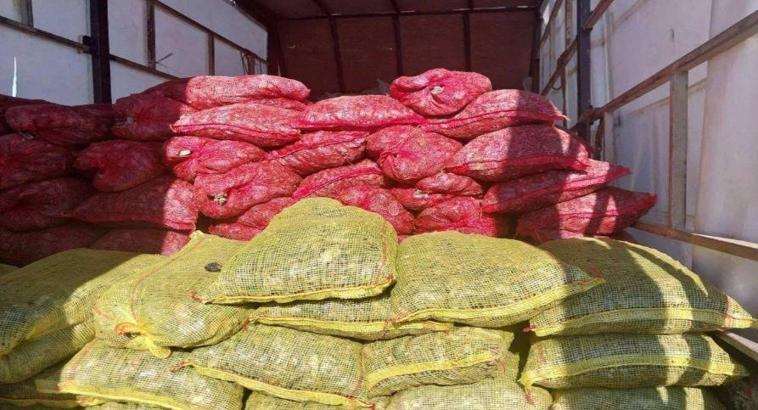 Sakarya'da 3 milyon TL değerinde kaçak midye ele geçirildi