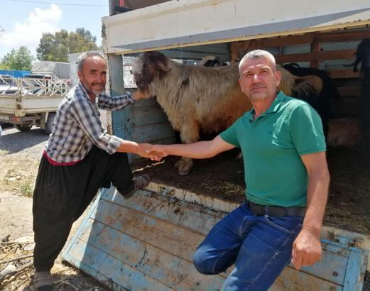 Gazipaşa'daki kurban pazarında hareketlilik