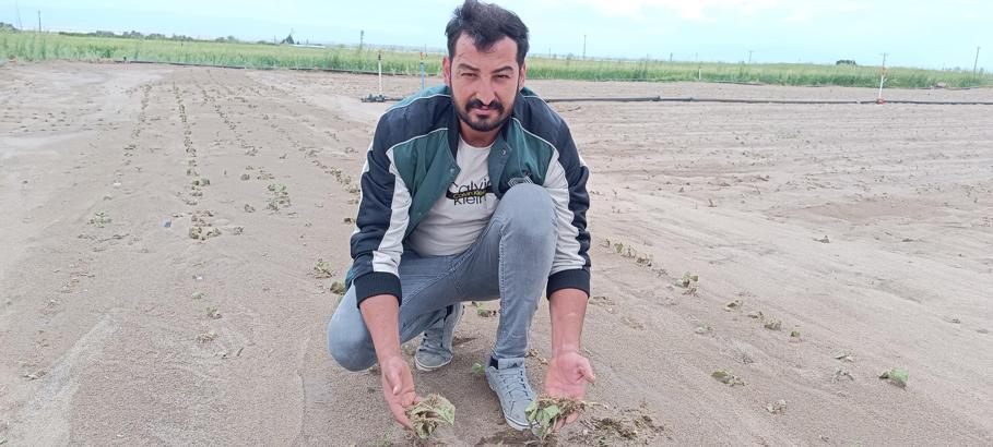 Kayseri'de sağanak ve dolu nedeniyle tarım arazileri zarar gördü