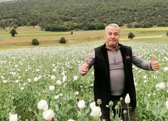 Afyonkarahisar'da haşhaş tarlaları beyaza büründü