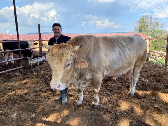 Çanakkale'de 1,5 tonluk 'Paşa', alıcısını bekliyor