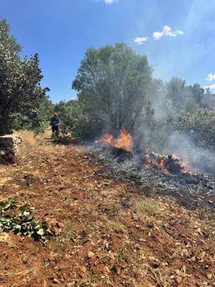 Mardin'de örtü yangını
