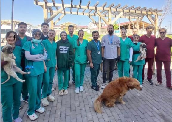 Sivas'ta sokak hayvanları, üniversite iş birliğiyle kısırlaştırılıyor