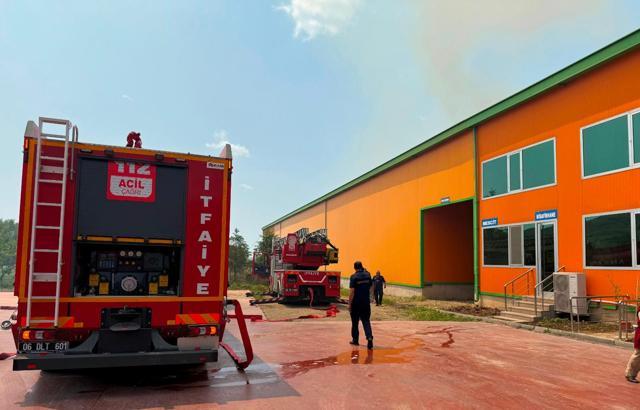 Ankara'da yumurta tesisinde yangın; 150 bin tavuk öldü