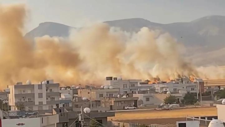 Mardin'de 350 dönüm buğday ekili alan yandı