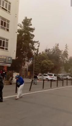 Mardin'de 350 dönüm buğday ekili alan yandı (2)