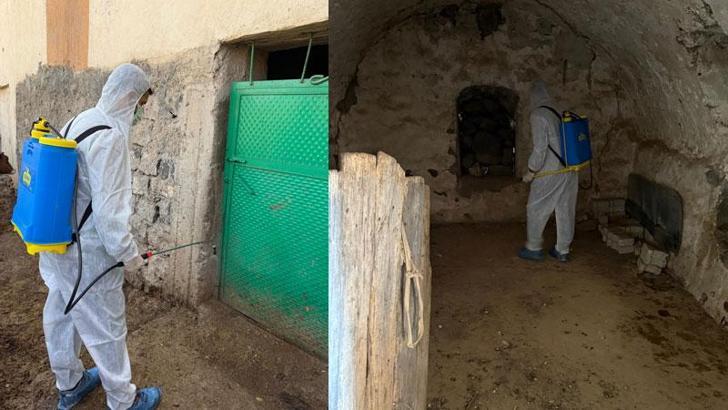 Şırnak'ta şap hastalığı görülen köye hayvan giriş çıkışları yasaklandı