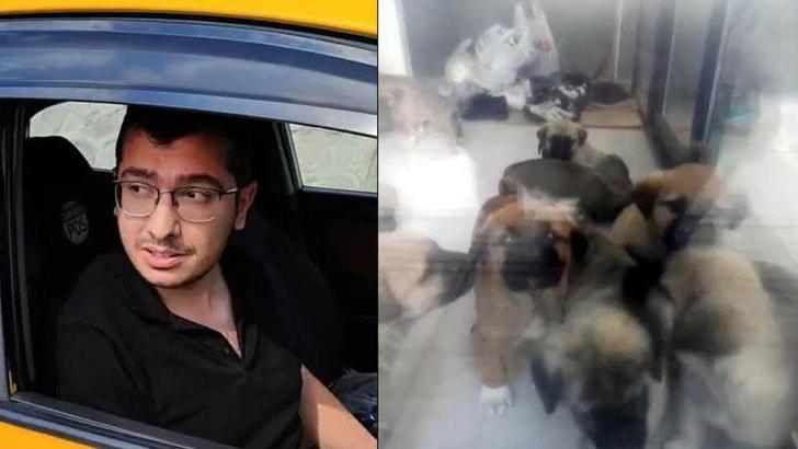 Sahiplendiği köpekleri öldürdüğü iddiasıyla tutuklanan doktora 17,5 yıla kadar hapis istemi