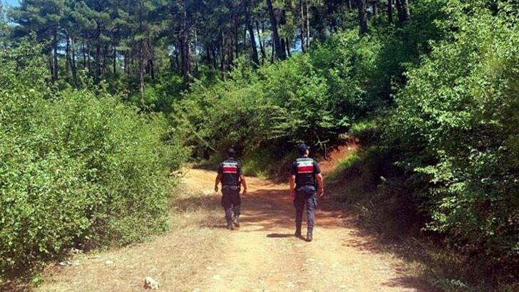 Muğla'da ormanlara girişler yasaklandı