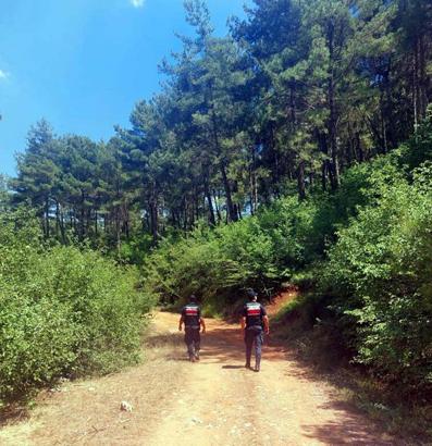 Muğla'da ormanlara girişler yasaklandı