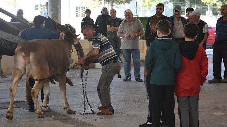 Sivas'ta kurban kesim noktalarında hareketlilik