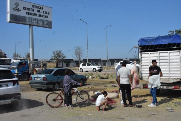 Konya'da izinsiz kurban pazarında, kaçak ve hijyenik olmayan kesim