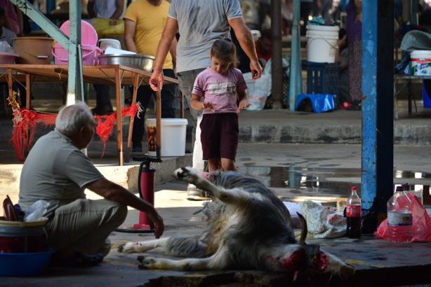 Antalya'da kurban kesim manzaraları; çocuklar da izledi