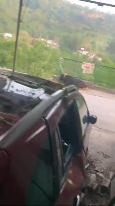 Kurbanlık boğa çıktığı garaj çatısı çökünce otomobilin üzerine düştü